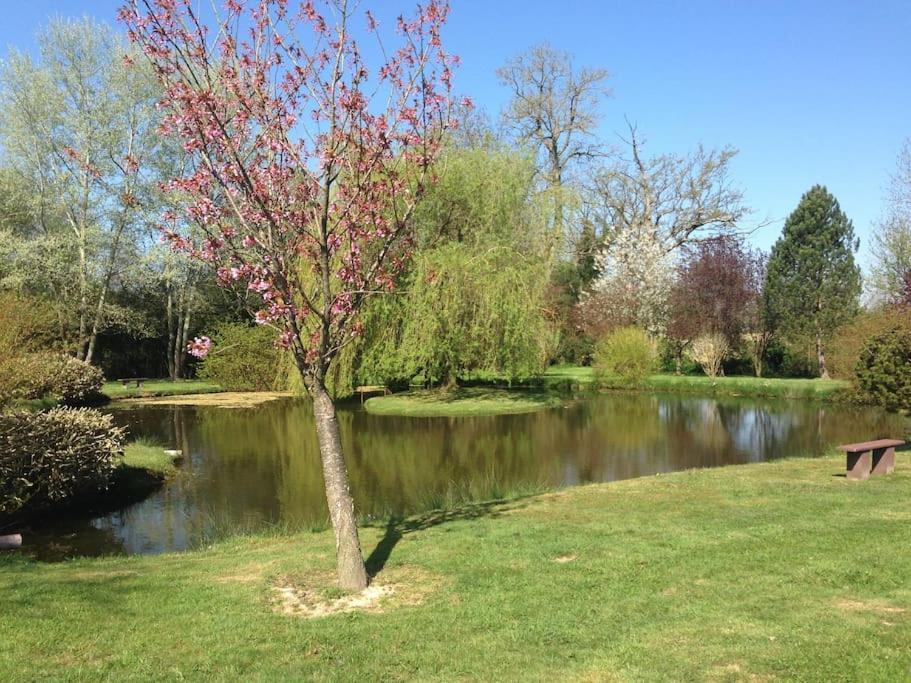Domaine Du Bois L'Abbe Villa Épaignes Buitenkant foto