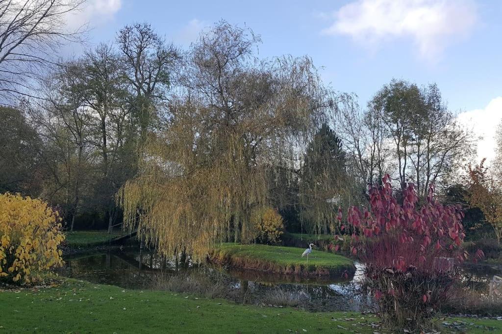 Domaine Du Bois L'Abbe Villa Épaignes Buitenkant foto